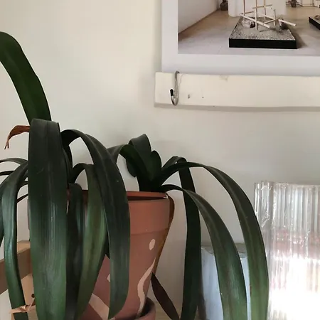Ozio Appartement *