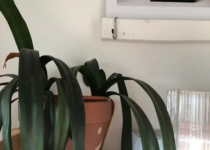 Ozio Apartment *